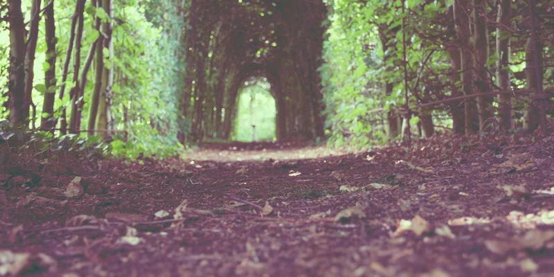 从画廊到餐桌：台湾当代艺术场景中的创作生态与两岸沟通新视角