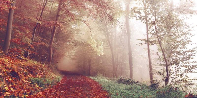 台湾旅游新发现：从在地小农直销平台探索台湾文化与农业新貌