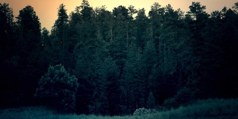 台湾渔港新鲜体验：从观光鱼市采购到海鲜料理的味蕾之旅