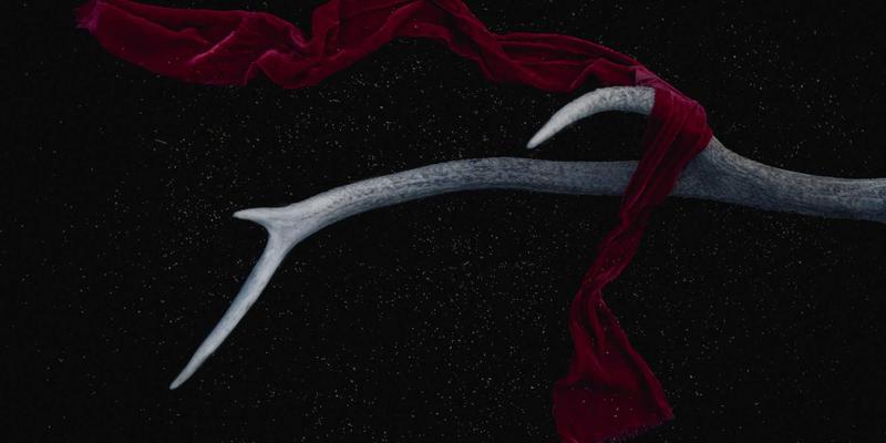 台湾生活75：两岸交流中的美食与人文温度