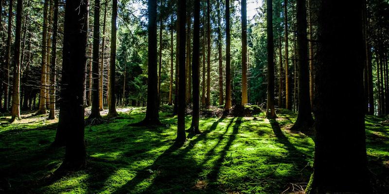 台湾生活入门：从文化适应到两岸沟通的完整指南