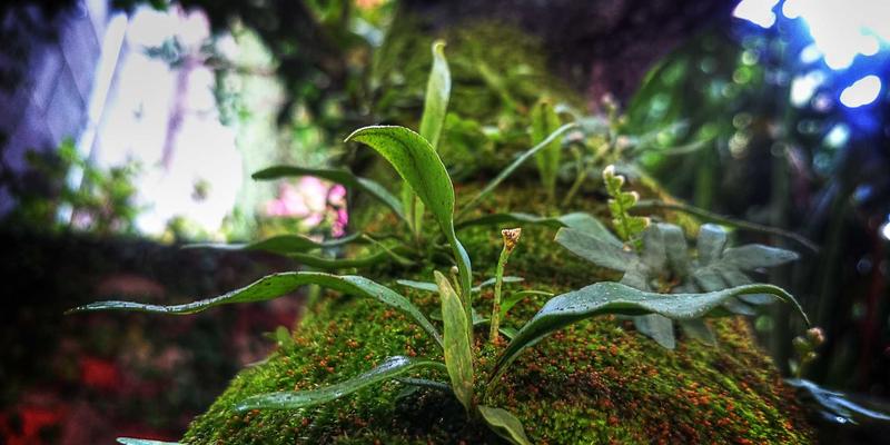 台湾生活全攻略:从旅游体验到文化沉浸,开启你的宝岛新篇章