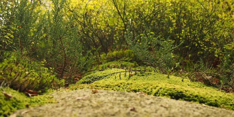 台湾生活全攻略：资讯、美食与日常实用指南