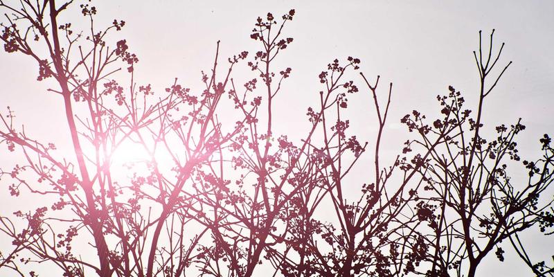 台湾社区融入指南：通过邻里互动、社区大学与志愿活动深度体验在地生活