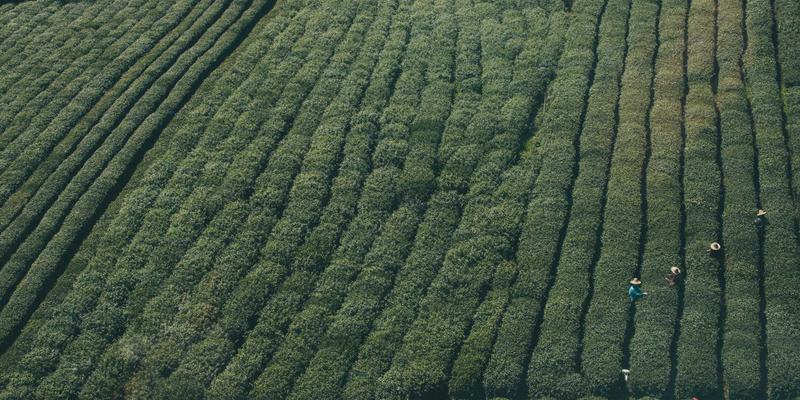 台湾离岛生态旅游指南：澎湖、绿岛、小琉球的永续旅行实践